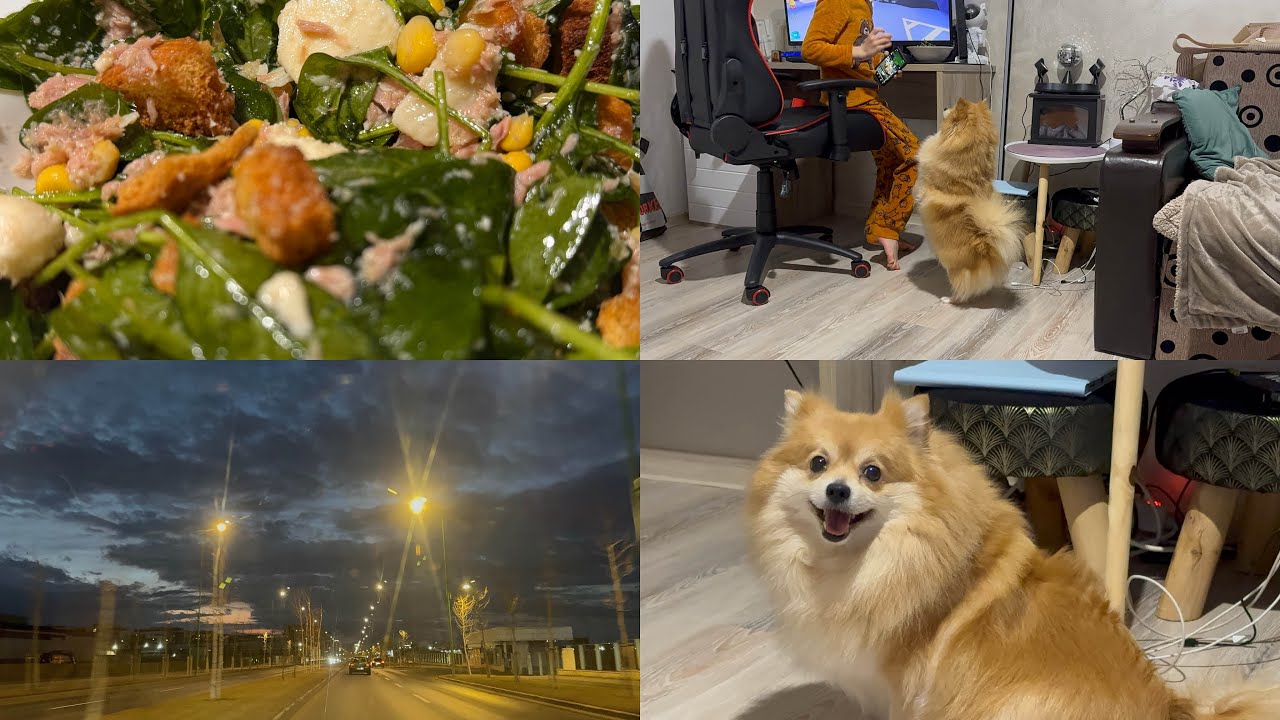 Vlog: Prima uscare cu Dyson 🥰 petrecem timpul cu Betty și Razvy ❤️