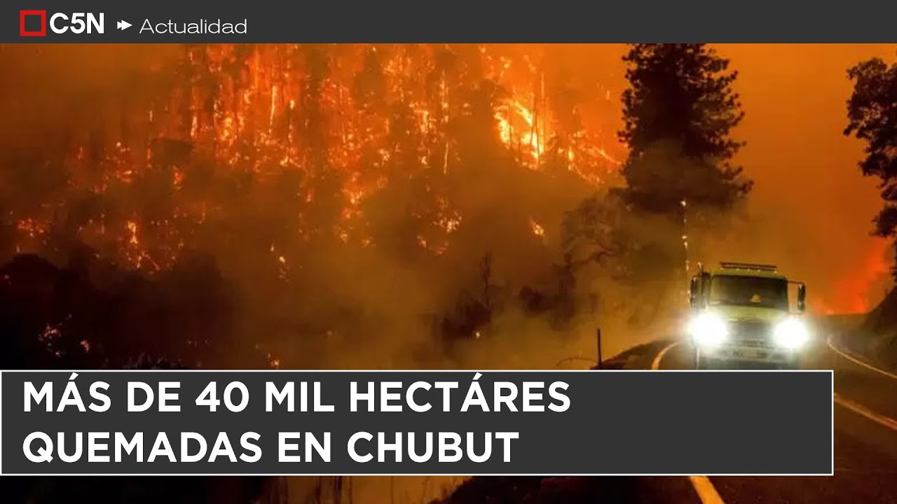 PATAGONIA en LLAMAS: el FUEGO ya llegó a CHOLILA