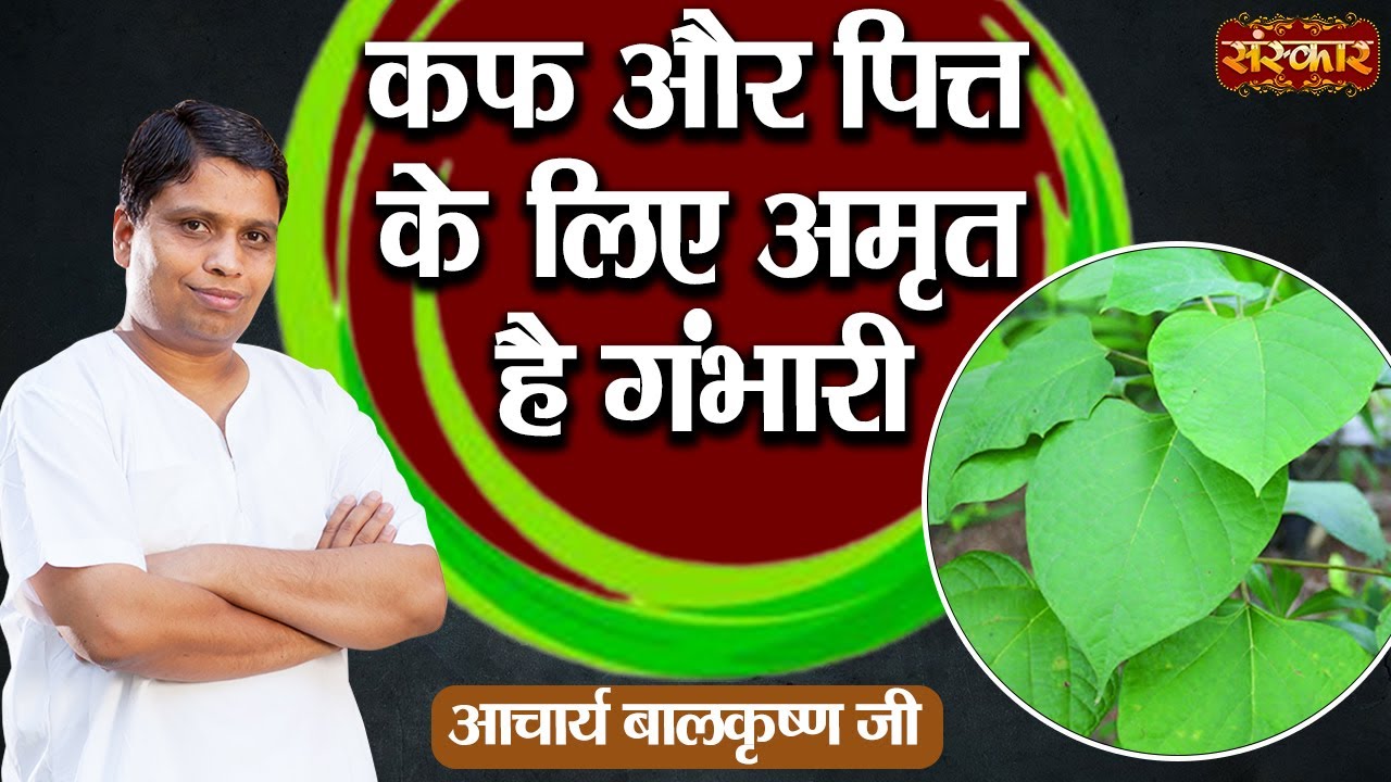 कफ और पित्त के लिए अमृत है गंभारी ! Cough And Bile Problem ! Acharya Balkrishna Ji | Sanskar TV