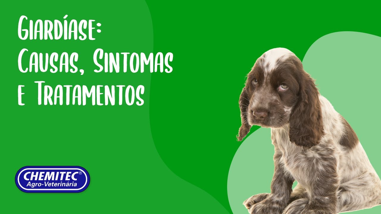 Giard&iacute;ase: Causas, Sintomas e Tratamentos