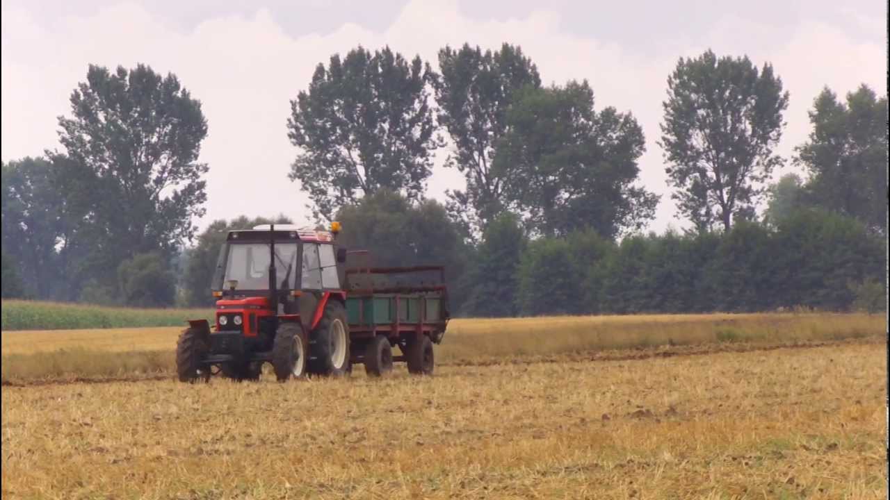 Obornik i Orka 2013