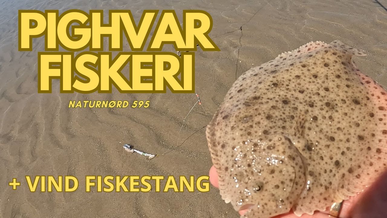 PIGHVAR FISKERI VED VESTERHAVET // NATURNØRD 595
