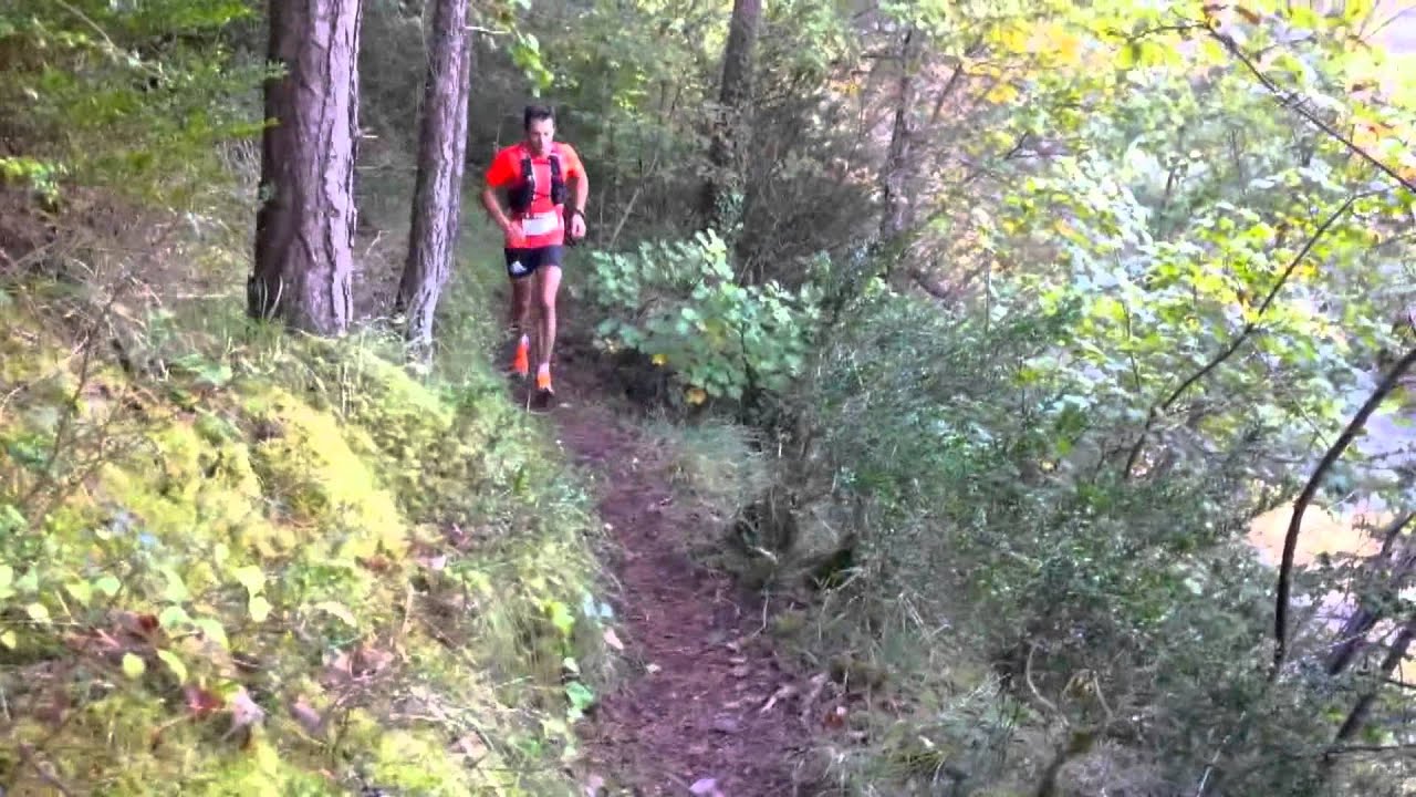 Festival des templiers 2014