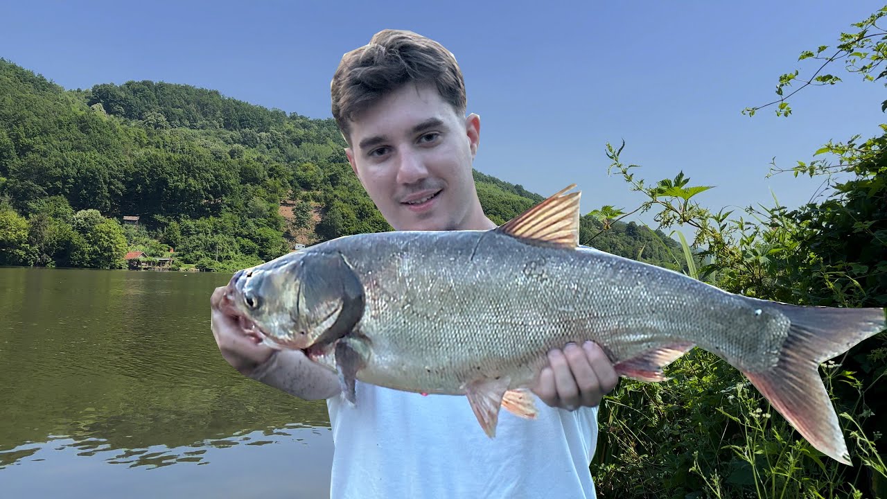 POLU RIBA POLU BIK! Pecam najružniju ribu naših voda na Dunavu