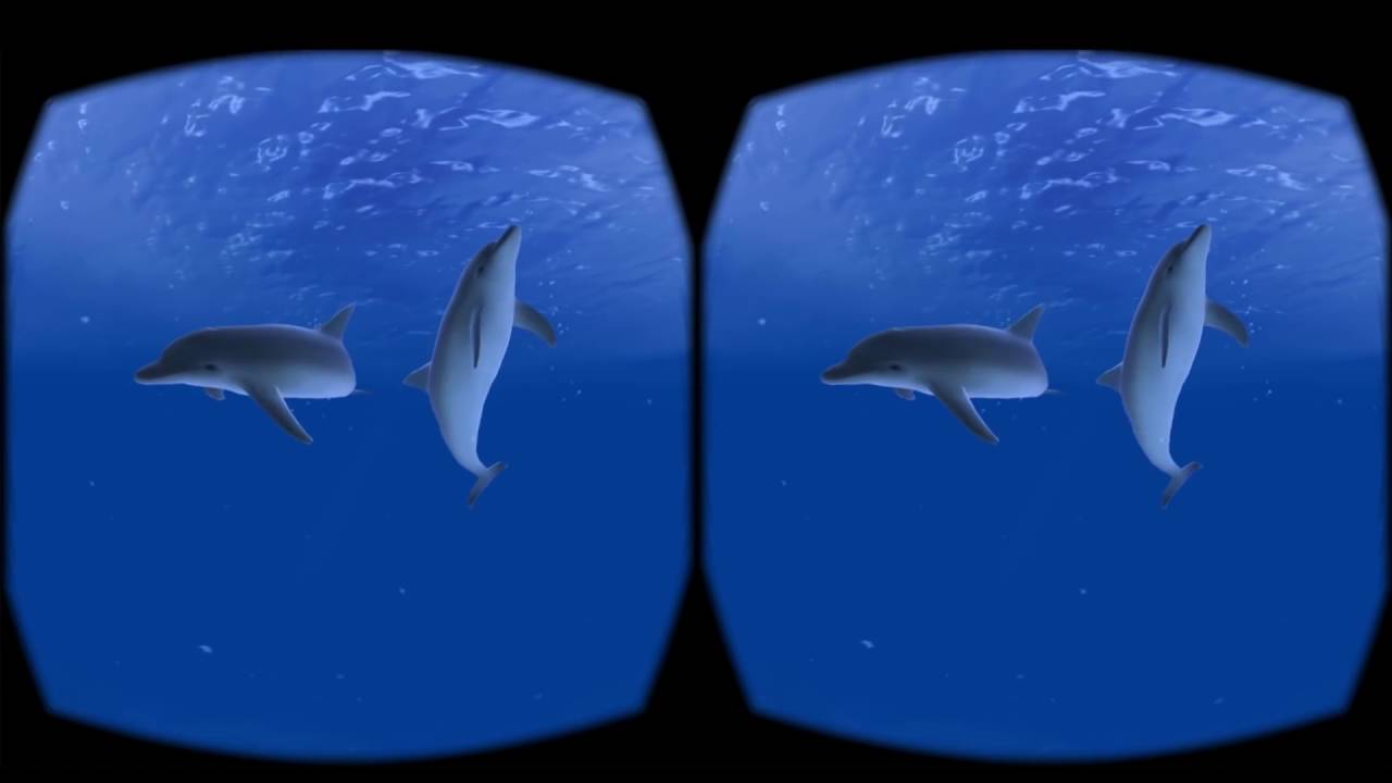 Google cardboard A swim through Ocean Trailers 3D Side By Side