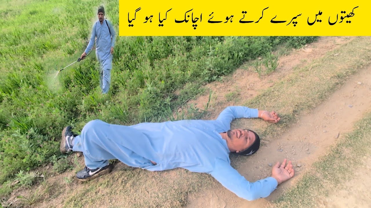 Khaiton main echanak kya ho gya |کھیتوں میں سپرے کرتے ہوئے اچانک کیا ہو گیا 