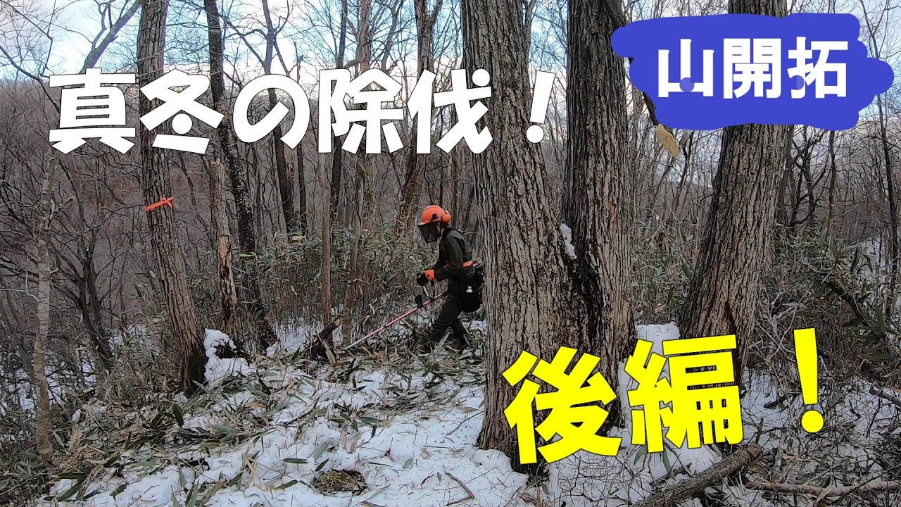 【山開拓】真冬に裏山の除伐をしてみたら【後編】