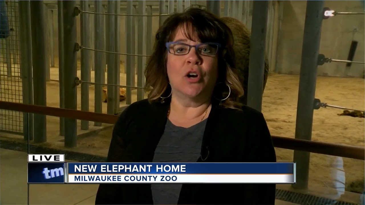 Milwaukee County Zoo opens new elephant exhibit