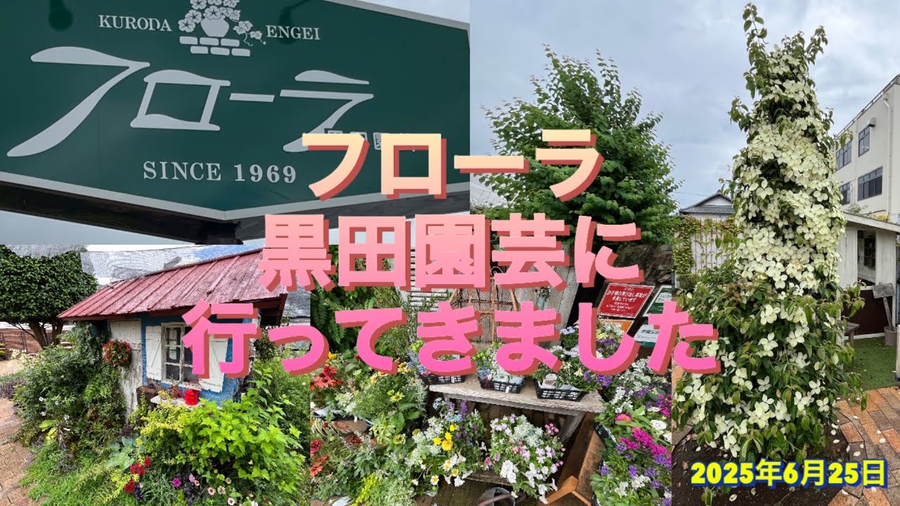 フローラ黒田園芸に行ってきました