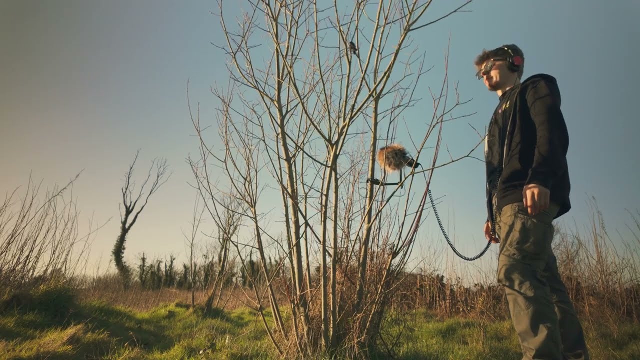 Nature vs machines - an experimental sonic project