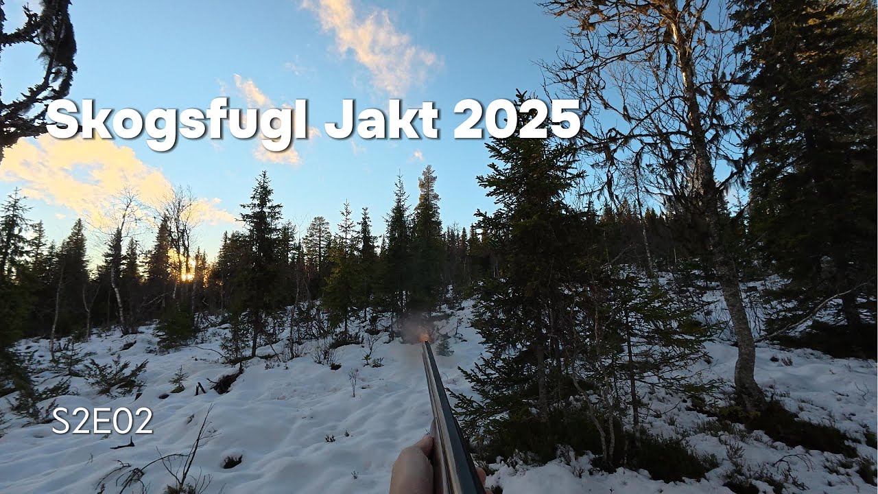 Skogsfugljakt med stående fuglehund 2025 Episode 2