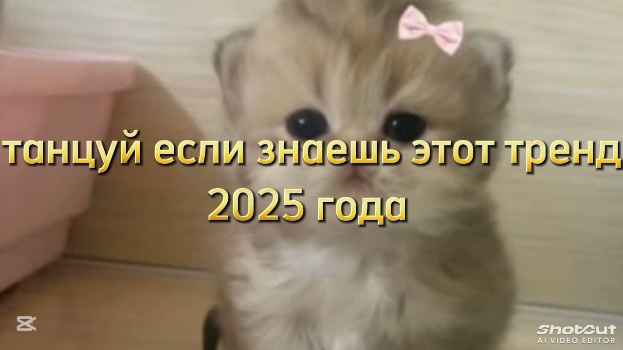 Танцуй если знаешь этот тренд 2025 года #amystory2011 #эстетическая #выбирашки #залетипж #потрендам 