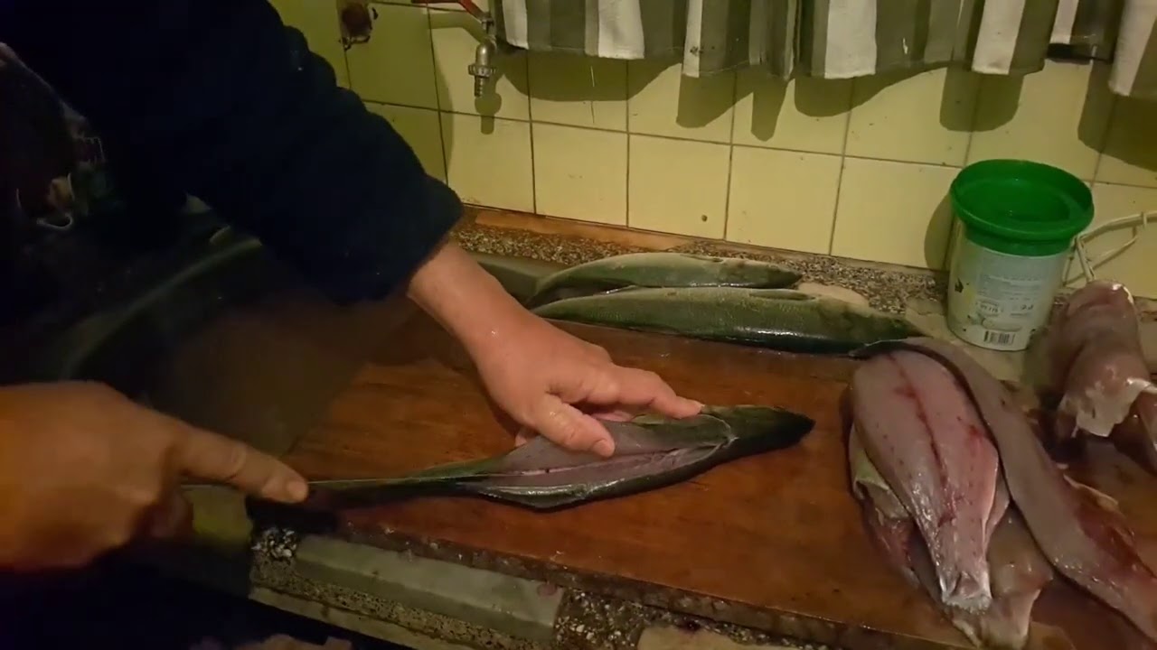 Fileteado anchoa de banco