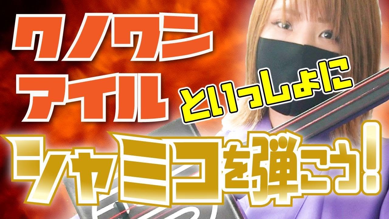 【シャミコ】「創作和楽器　Shamiko」の 取材に行ってきました！　Simple Shamisen Shamiko