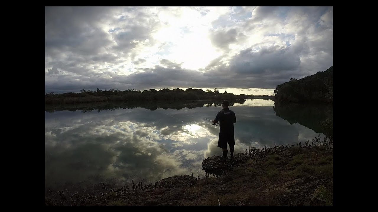 Chasing Snapper in the mangroves