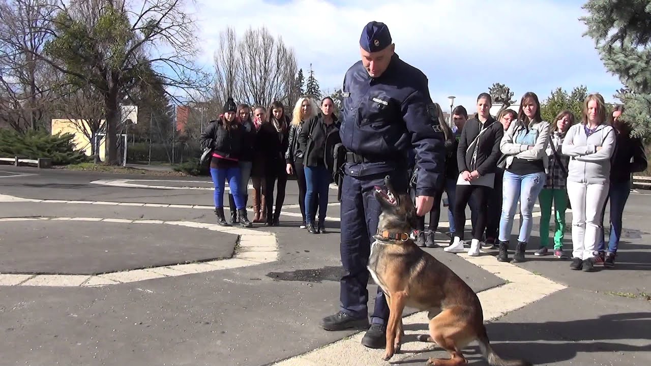 Rendőrkutya a  diáknapon - a bemutató utáni bónusz