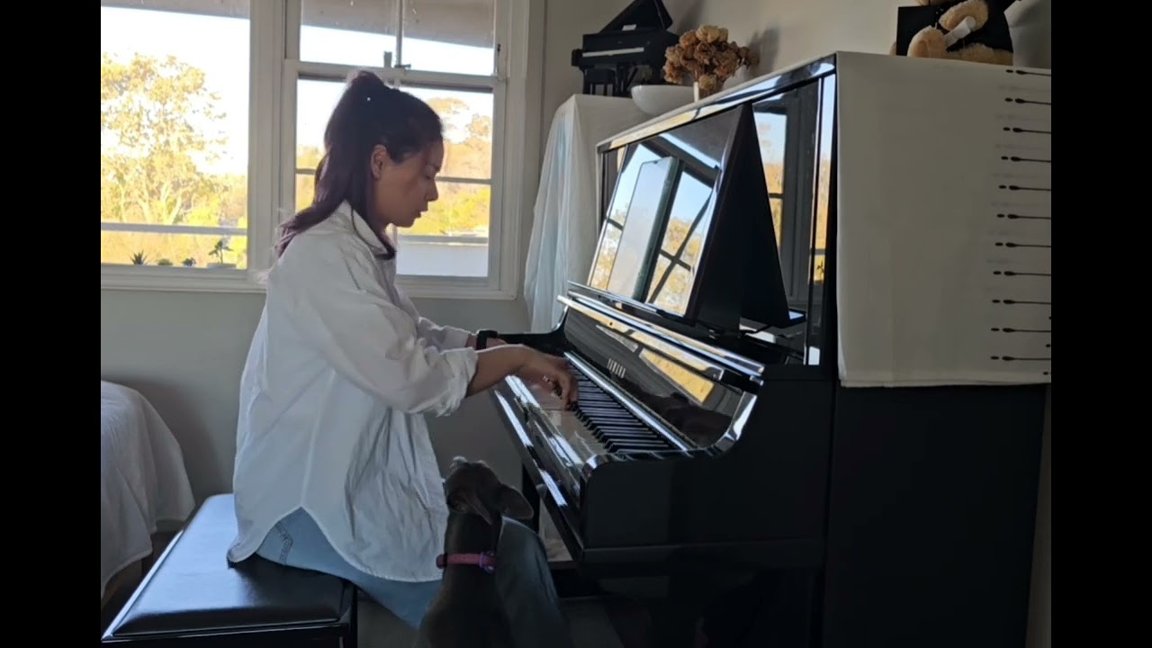 Canon in D Major | 卡农 | Adult Learn to Play Piano 成人学钢琴