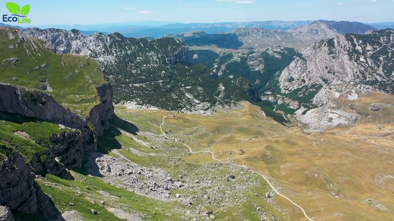 🌿 ECO LIFE | Priroda Žabljaka iz drugačije perspektive