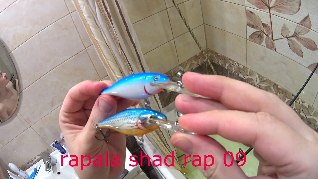 Сравнние воблеров SeaKnight SK011c Rapala Shad rap 09
