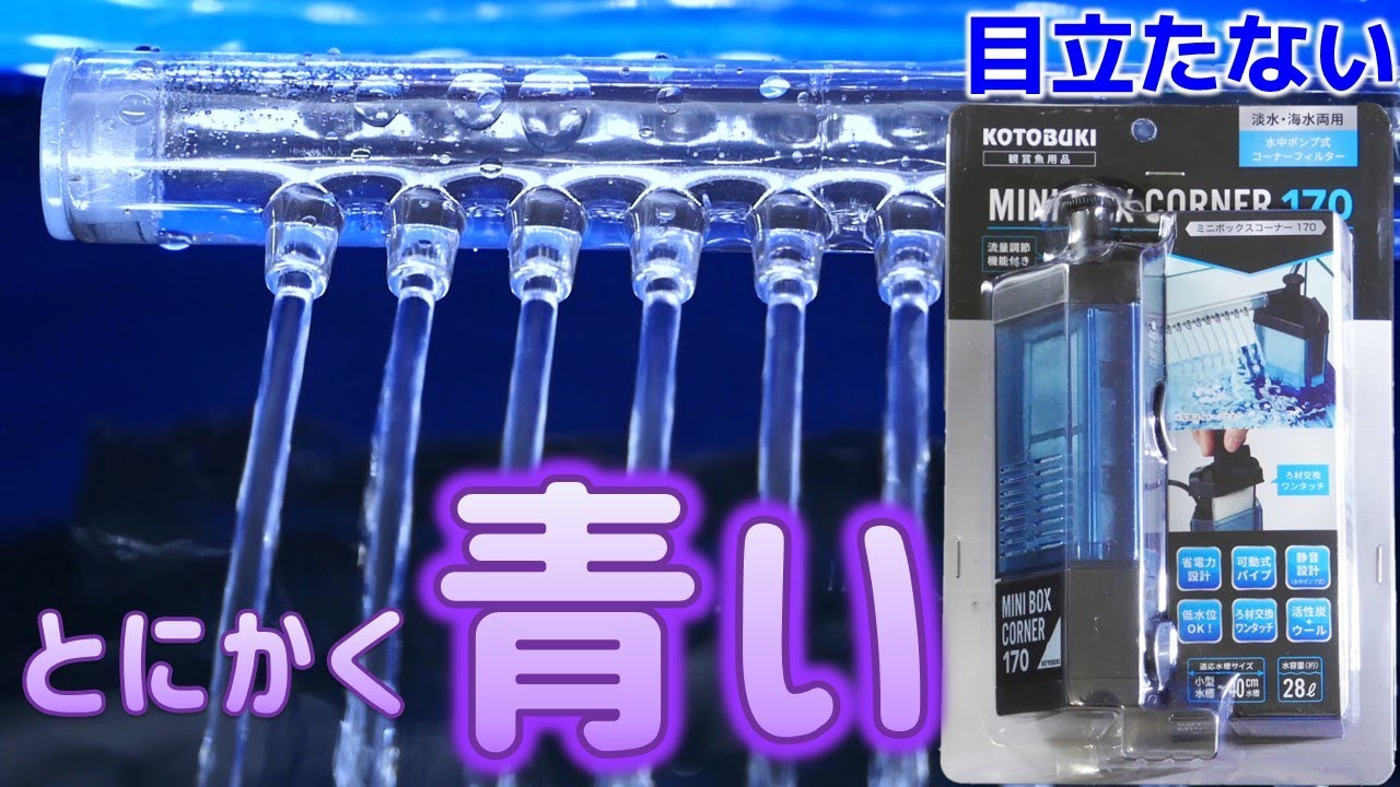 【水中フィルター】モーターが下にあるから水の蒸発も気にしなくて良い、青くて目立ちにくいフィルター コトブキ ミニボックスコーナー170【ふぶきテトラ】