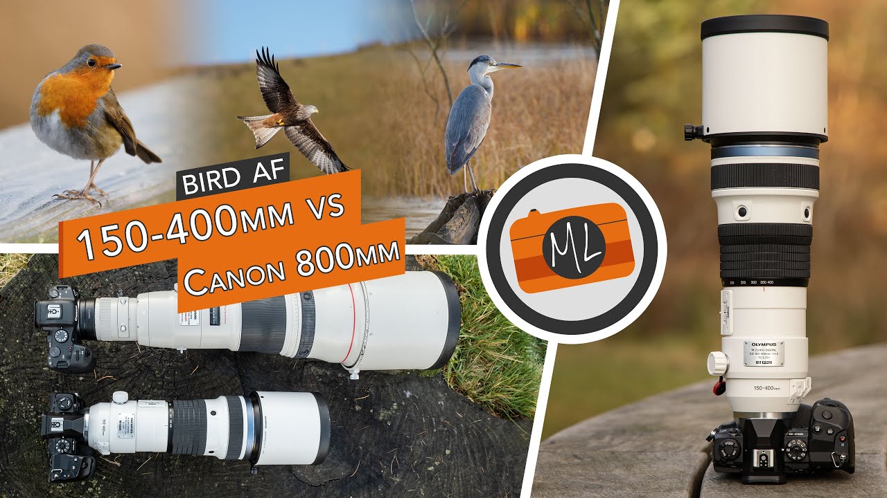 Olympus 150-400mm Pro Review (vs Canon 800mm) + Bird Detection AF Review