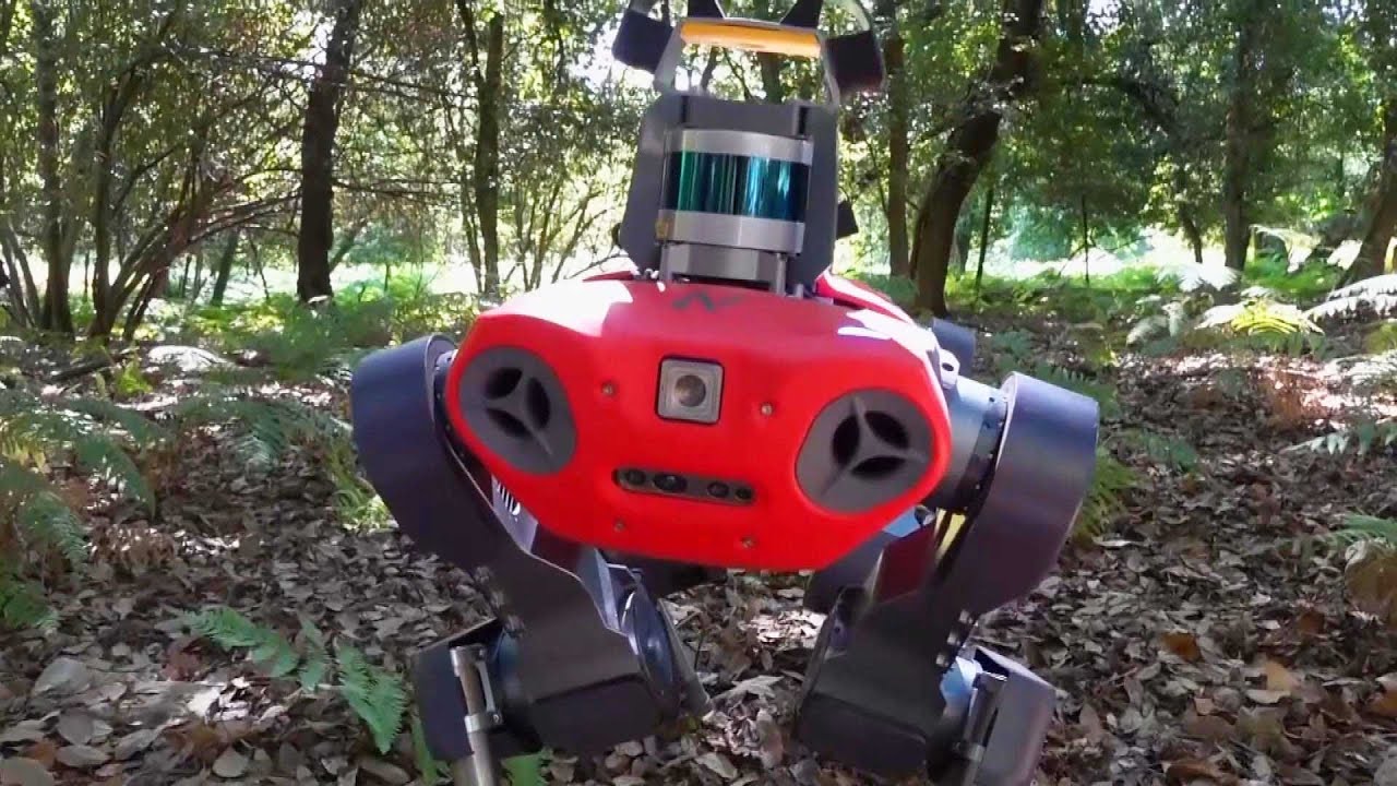 This Robot Tracks Plants and Animals