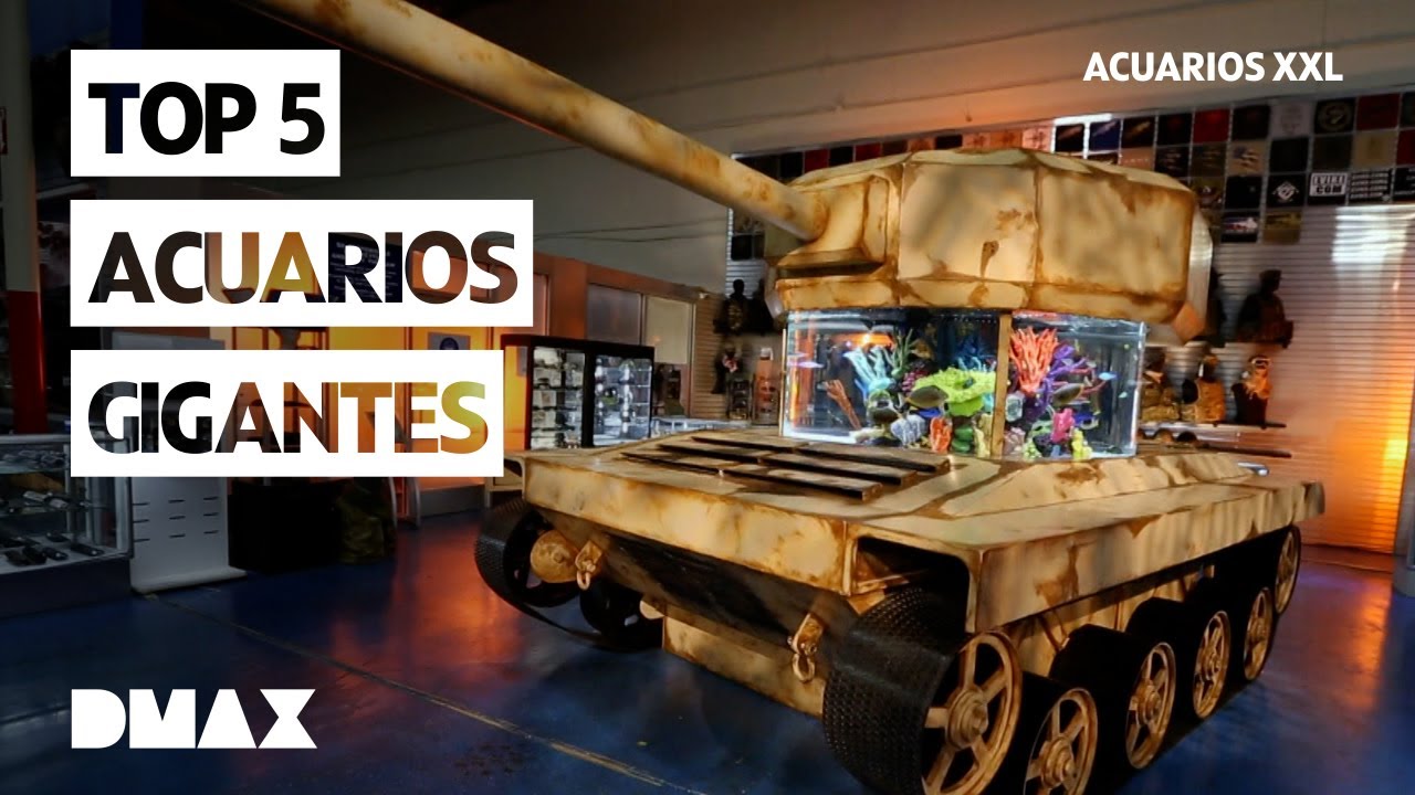 5 acuarios alucinantes | Acuarios XXL