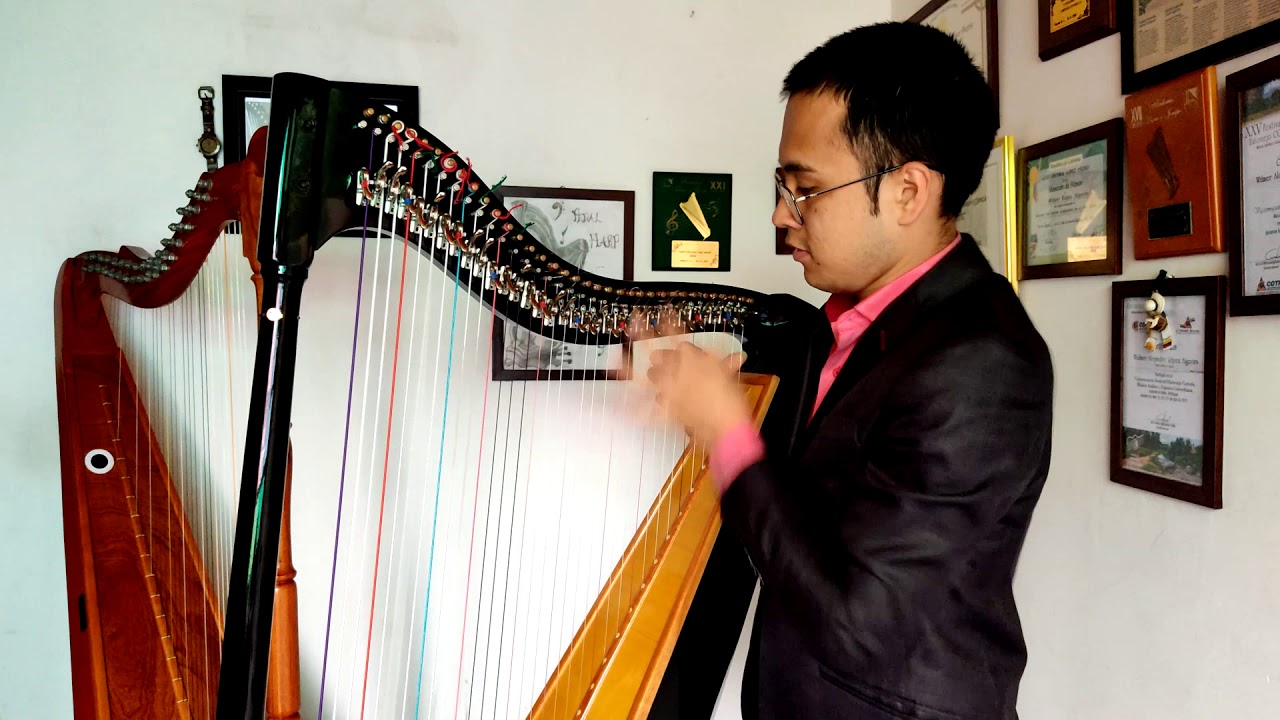 Te esperare, Wuilmer López, Julio Jaramillo (harp)