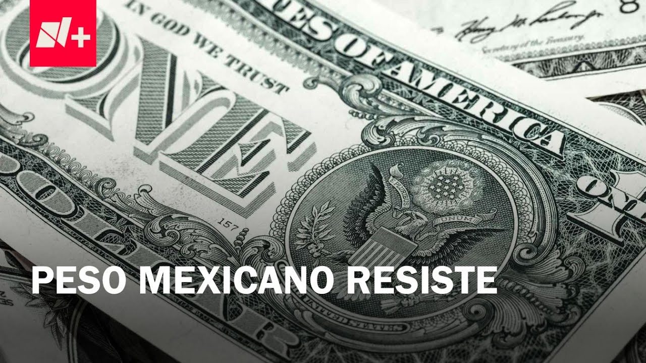 Precio del d&oacute;lar hoy 8 de enero de 2026 | Nuevo valor de la UMA en 2026 - Despierta