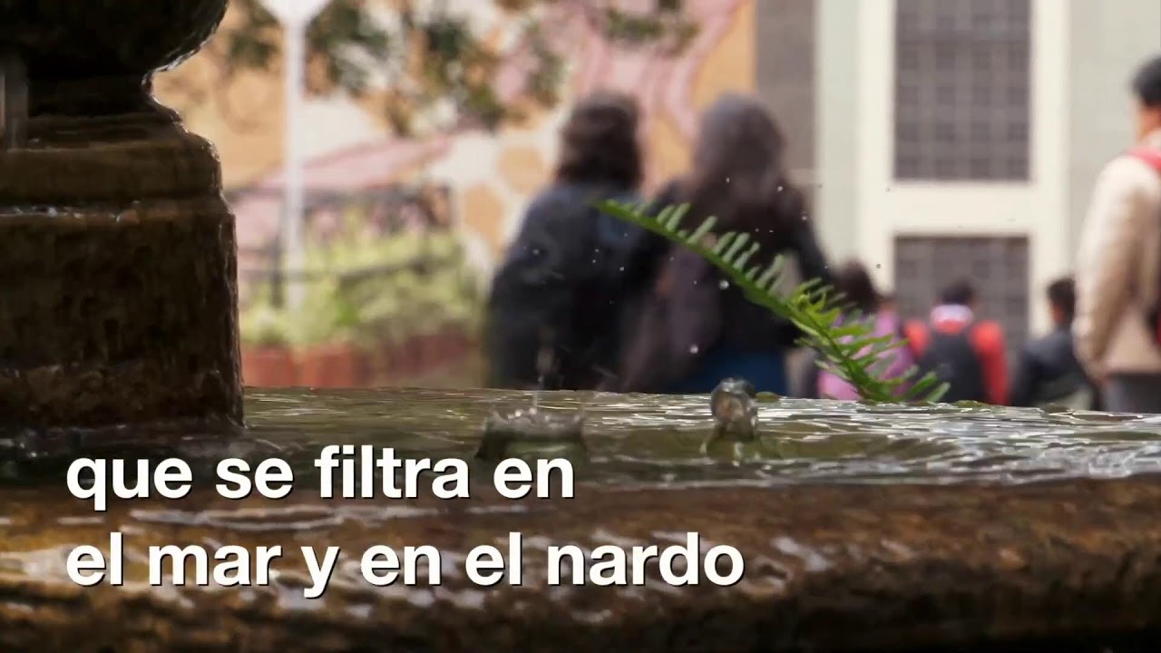 Ceremonia de Grados - Segunda sesión