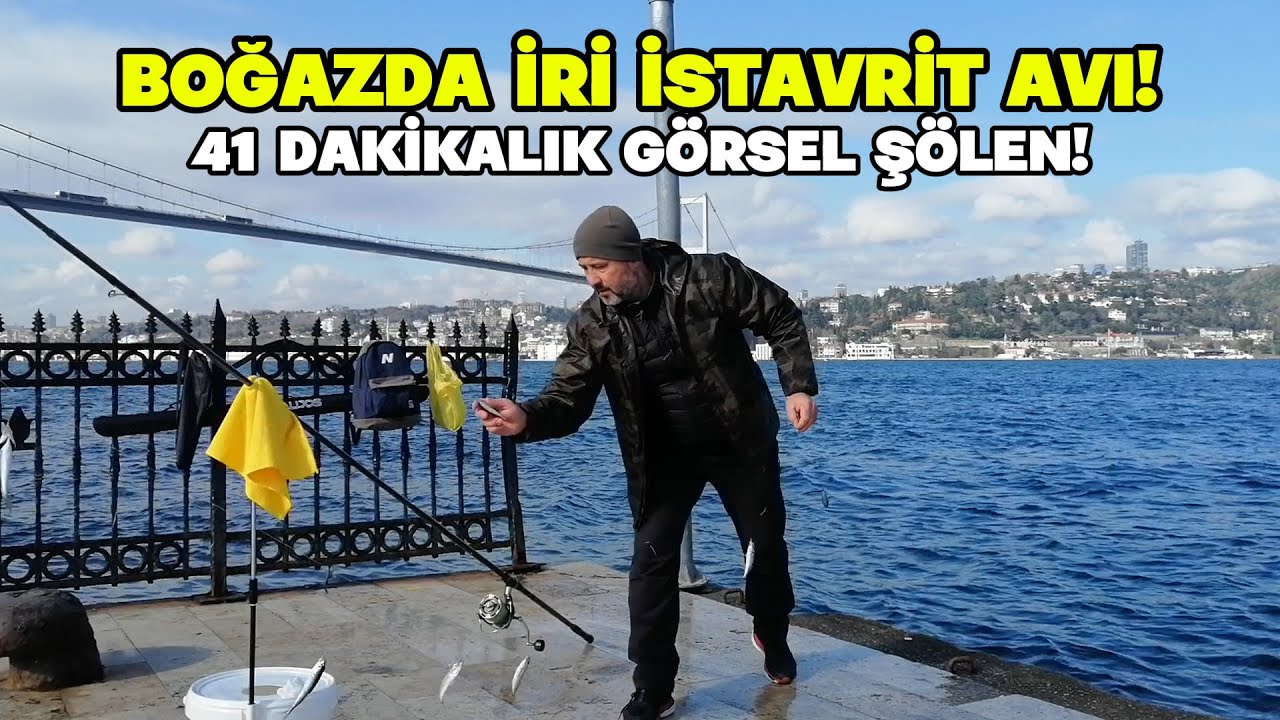 Boğaz'da İRİ İSTAVRİT Avı! 41 Dakikalık Görsel Şölen [2K 🎥] (Horse Mackerel Fishing Istanbul) 🎣