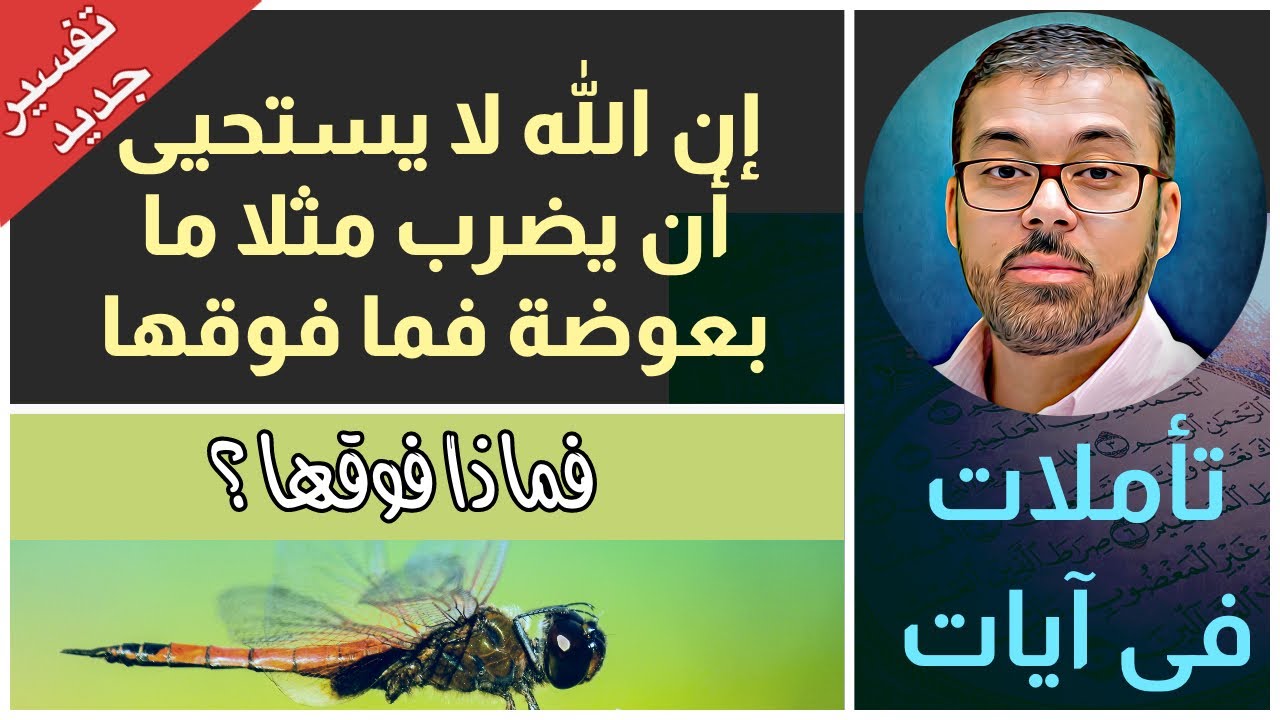 رؤية جديده | البعوضة وما فوقها - تفسير جديد مثير للعجب