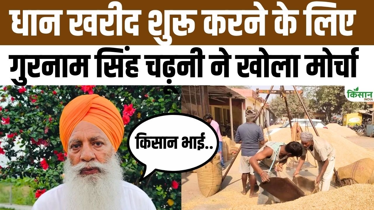 Farmer leader Gurnam Singh Charuni launches protest against delay in paddy procurement, stir on S...