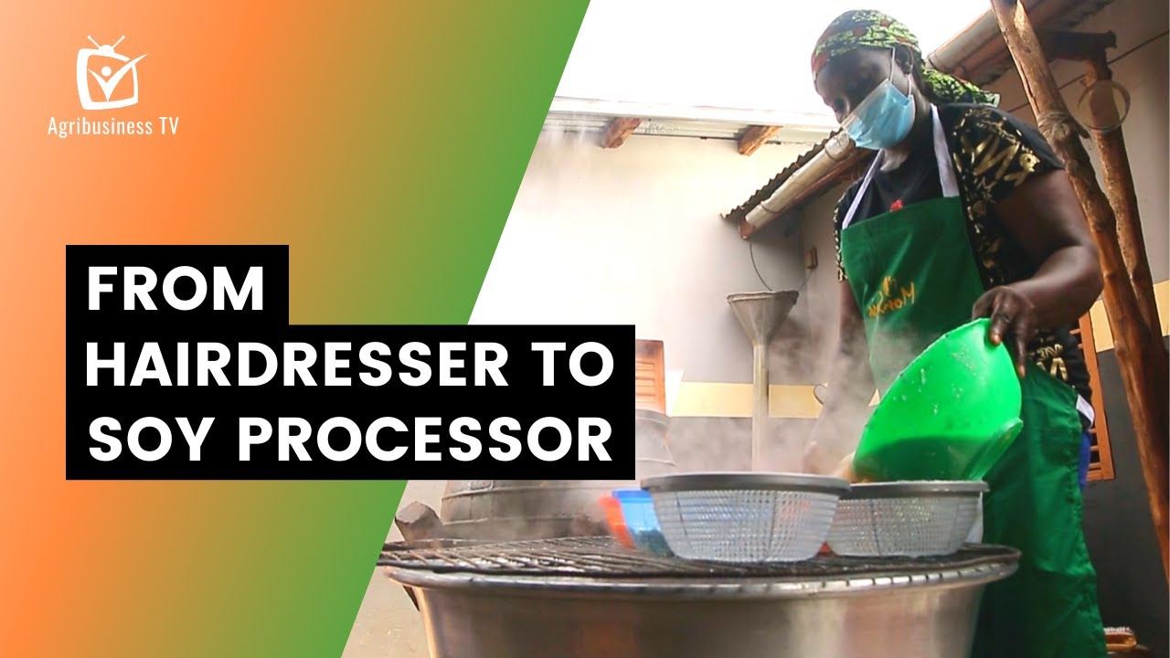 Benin: From hairdresser to soy processor