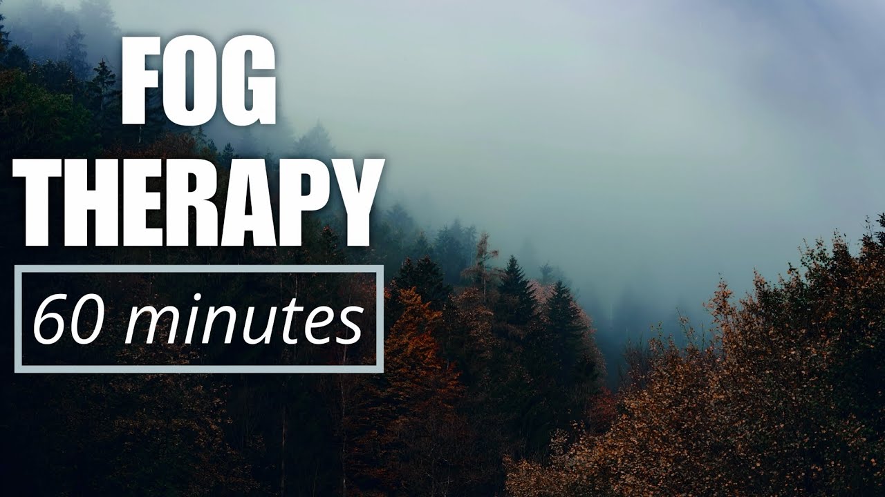 Fog & Mist Therapy for Deep Sleep and Relaxation | 60 Minutes