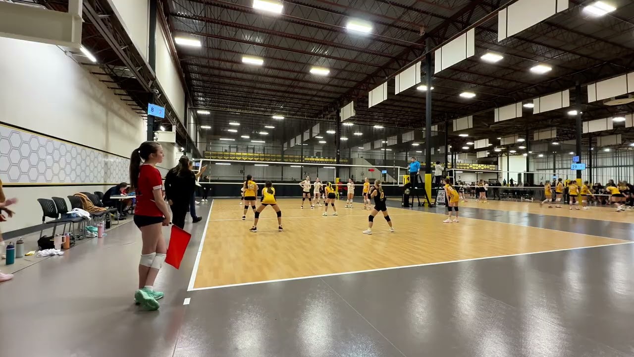 Sting 11 -White VS Sting 11 -Black