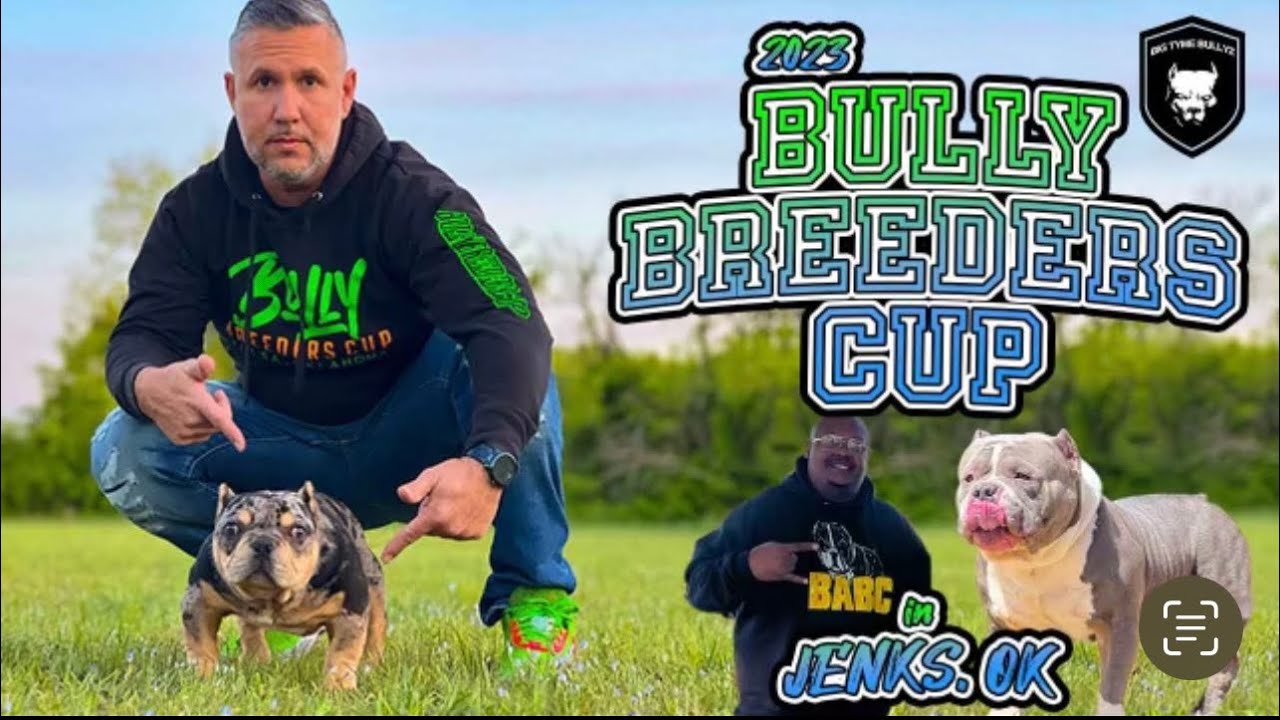 EXOTIC BULLY BREEDERS CUP 2023 | OKLAHOMA | AMERICANBULLY | FUNSHOW