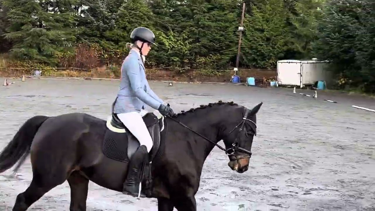 Mia Lambert Rising Stars Equitation Final 2023
