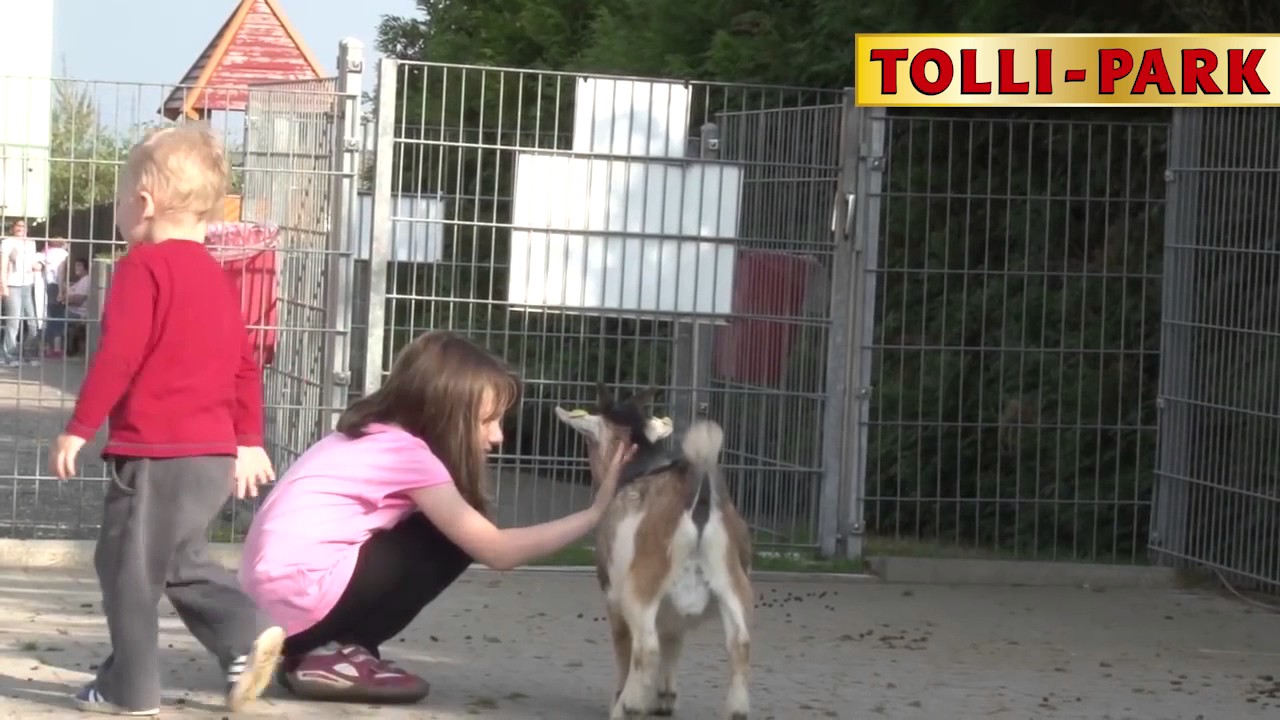 Tolli-Park Mayen