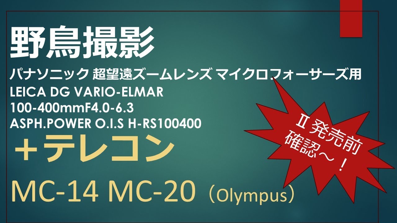 パナライカ１００４００