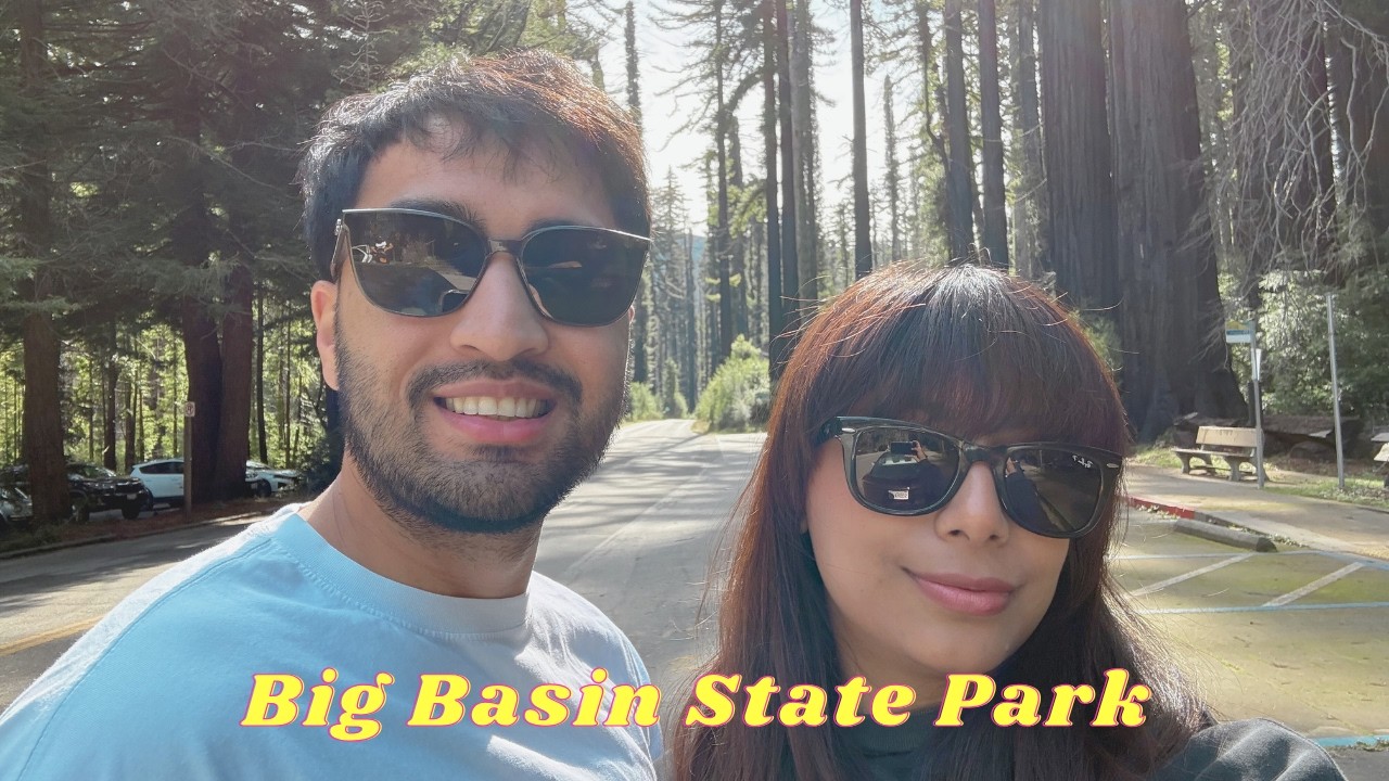 First time seeing giant redwood trees at big basin state park