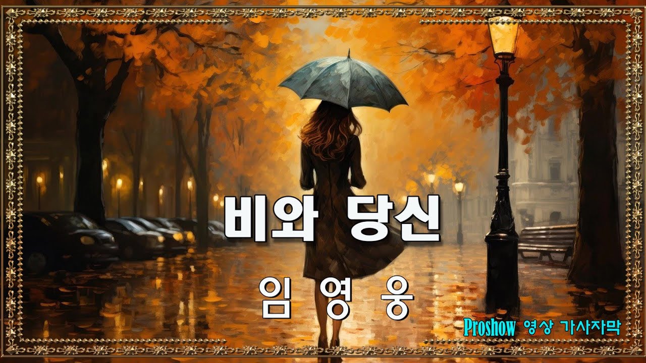 비와당신/임영웅