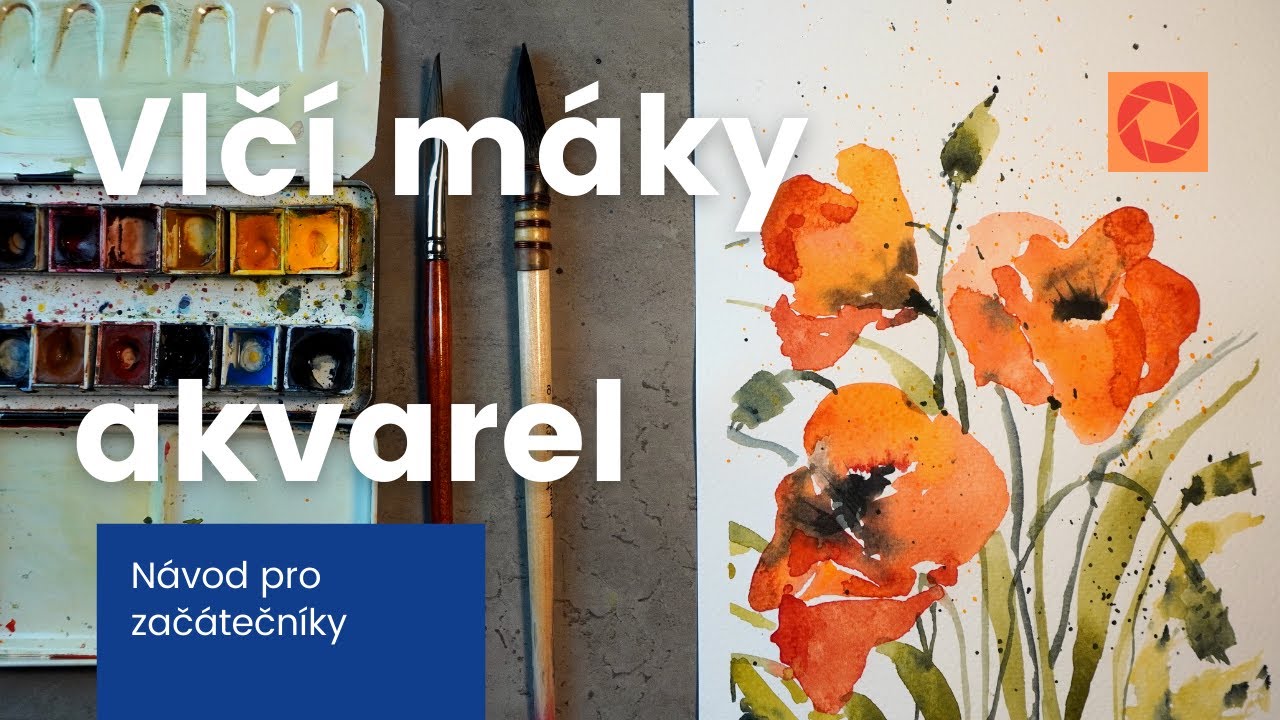 Akvarel návod pro začátečníky-Vlčí mák
