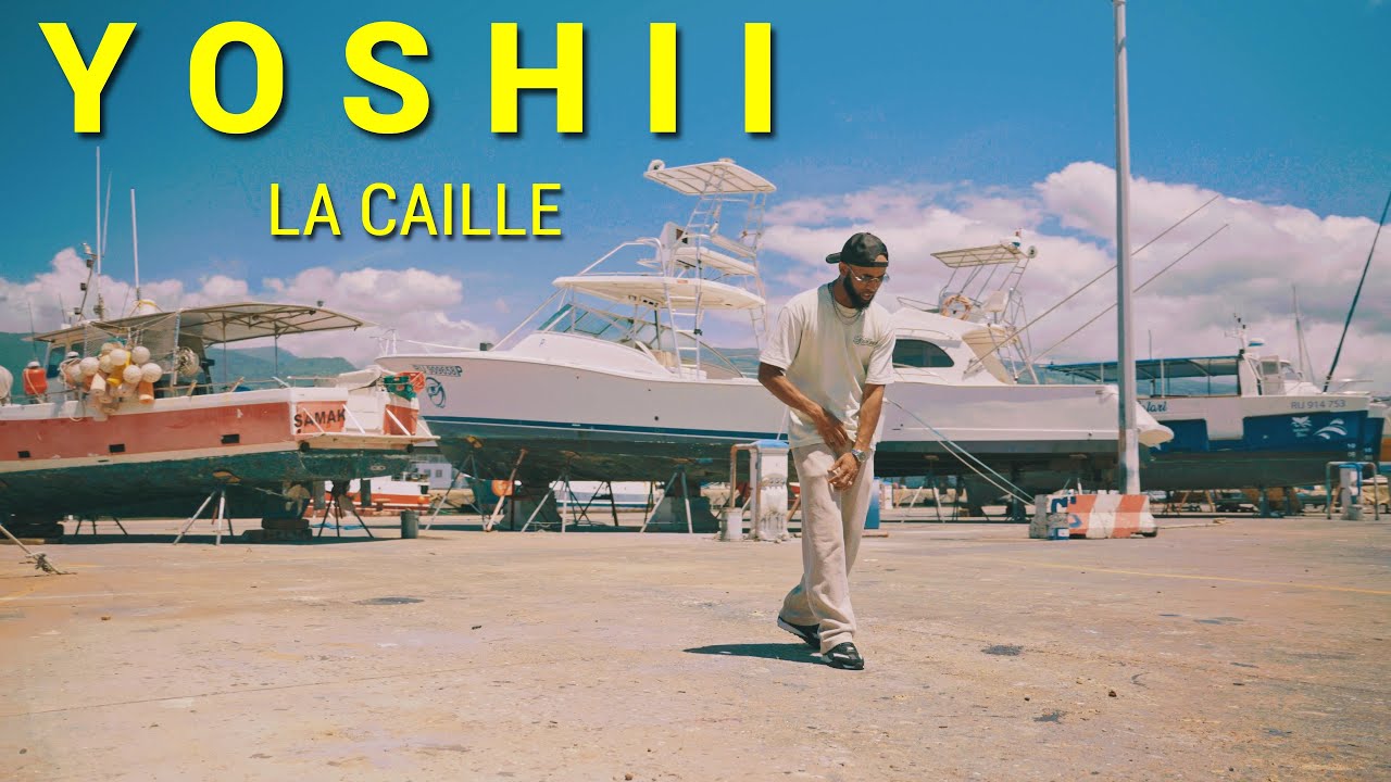 YOSHII _ LA CAILLE (VISUALISER)