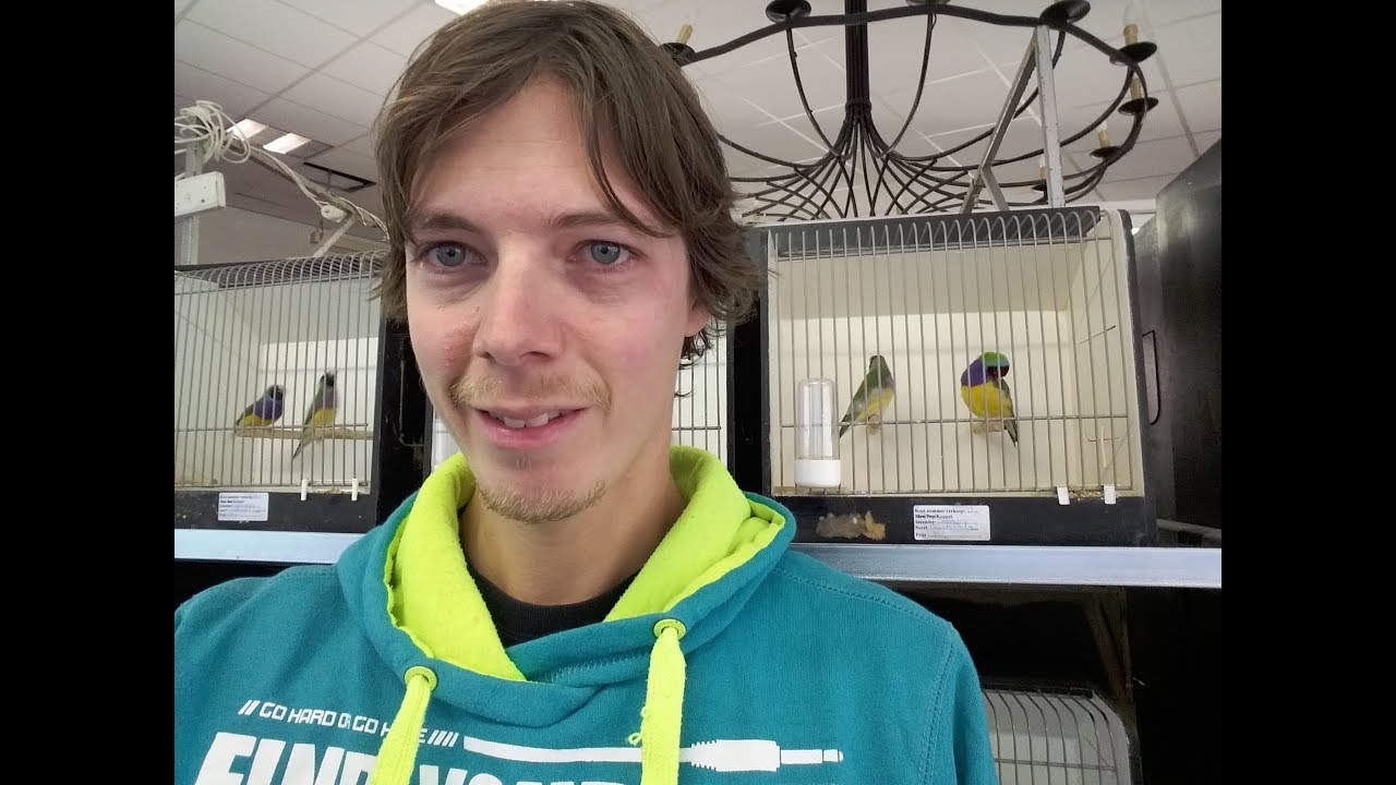 dagje mooie vogels kijken op de vogeltentoonstelling - andyLife VLOG #14