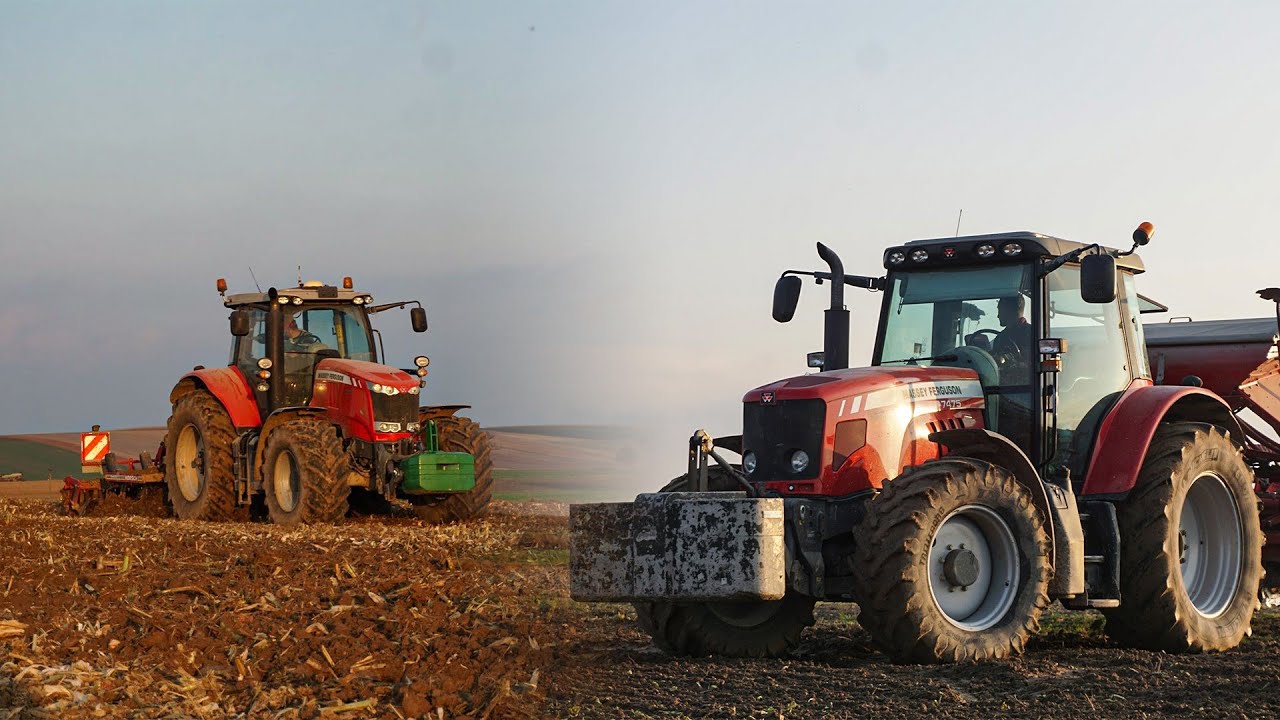 Siew pszenicy 2020 w Gr. Suszek 2x Massey Ferguson || Horsch