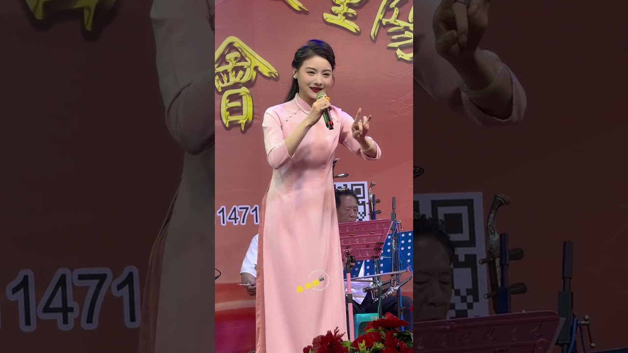 潮剧：此恨绵绵天地间 林健梅 Teochew Opera 0958