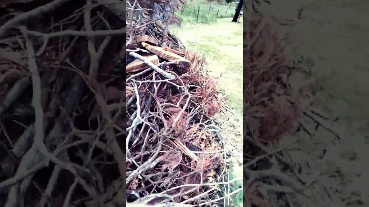 Around Pile
