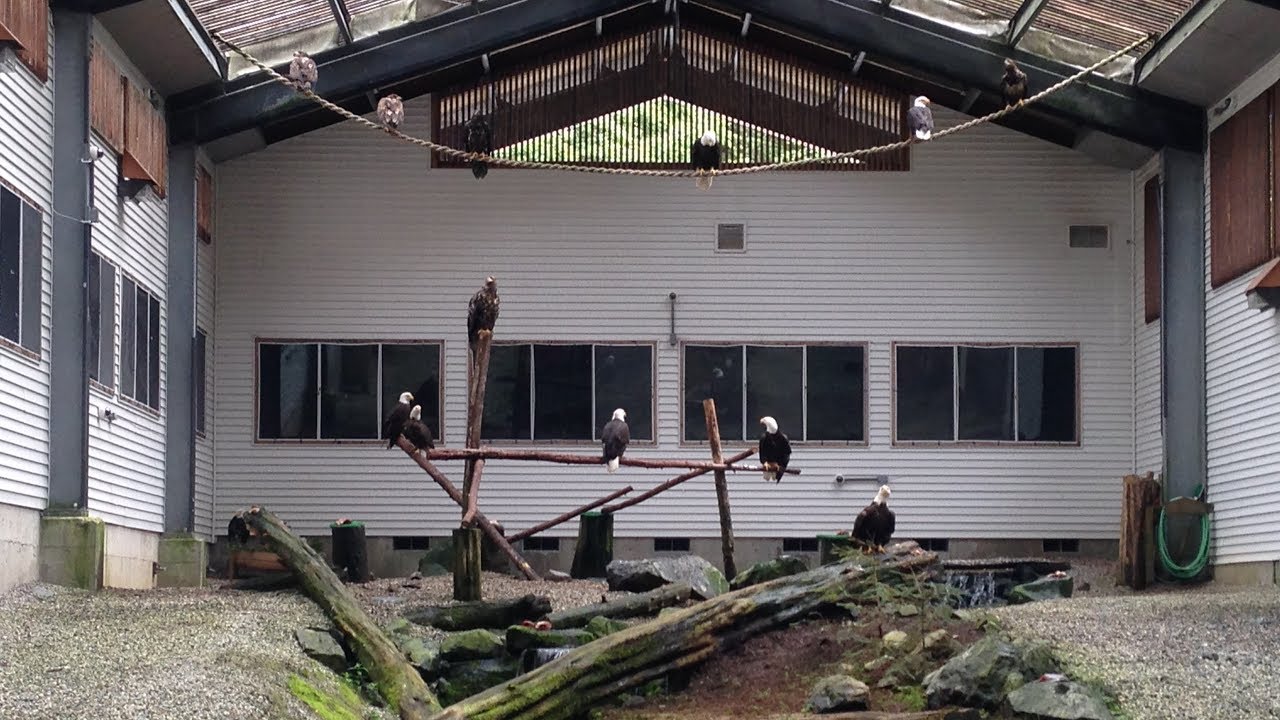 A  Peak into the Bald Eagle Flight Training Center