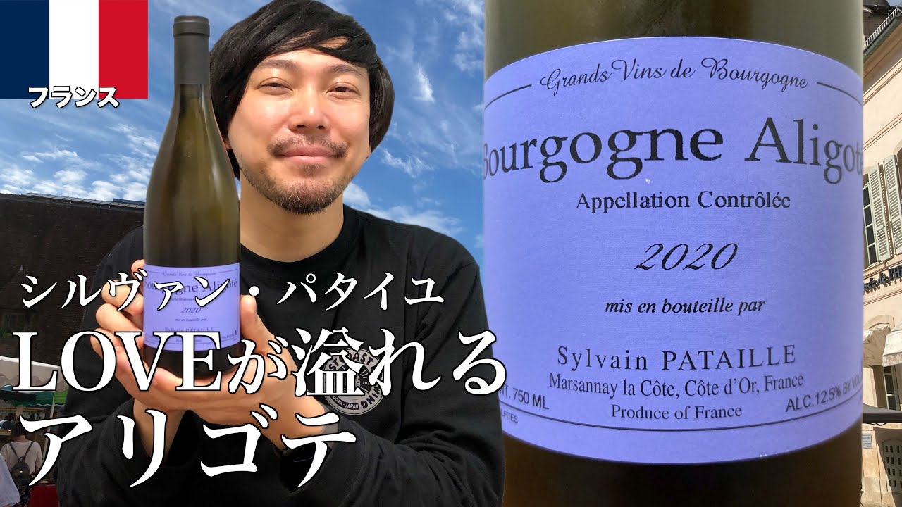 パタイユ、アリゴテ、世界一好きなワイン。 ゆきおとワイン600「Domaine Sylvain Pataille Bourgogne Aligoté 2020」